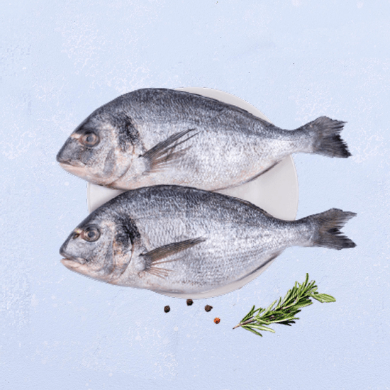 Fish
